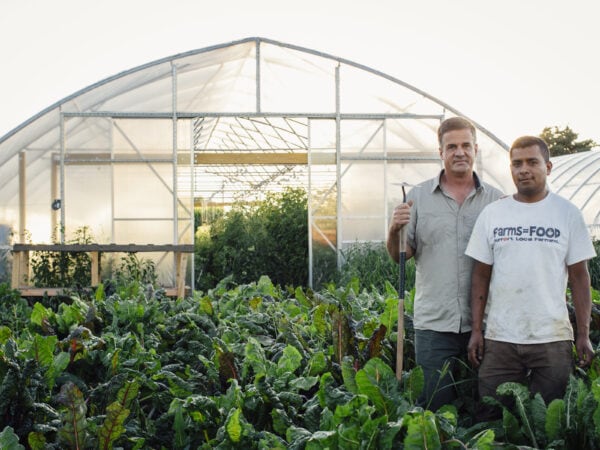 two men in the greenhouse